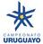Liga AUF Uruguaya